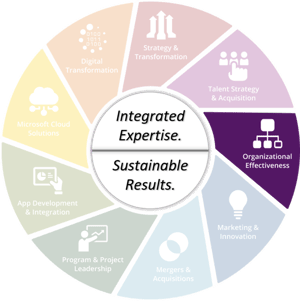Aspirant Organizational Effectiveness Practice